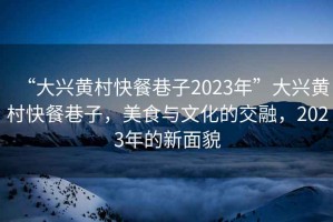 “大興黃村快餐巷子2023年”大興黃村快餐巷子，美食與文化的交融，2023年的新面貌