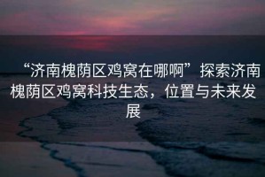 “濟南槐蔭區(qū)雞窩在哪啊”探索濟南槐蔭區(qū)雞窩科技生態(tài)，位置與未來發(fā)展