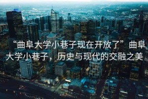 “曲阜大學(xué)小巷子現(xiàn)在開放了”曲阜大學(xué)小巷子，歷史與現(xiàn)代的交融之美