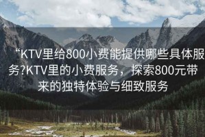 “KTV里給800小費(fèi)能提供哪些具體服務(wù)?KTV里的小費(fèi)服務(wù)，探索800元帶來的獨(dú)特體驗(yàn)與細(xì)致服務(wù)