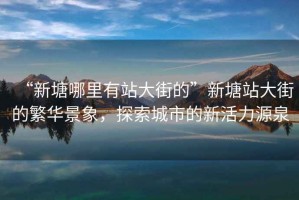 “新塘哪里有站大街的”新塘站大街的繁華景象，探索城市的新活力源泉