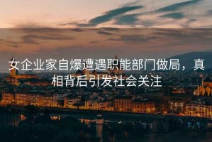 女企業(yè)家自爆遭遇職能部門做局，真相背后引發(fā)社會關注