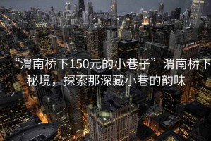 “渭南橋下150元的小巷子”渭南橋下秘境，探索那深藏小巷的韻味