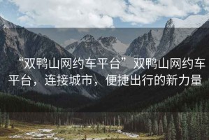 “雙鴨山網(wǎng)約車平臺(tái)”雙鴨山網(wǎng)約車平臺(tái)，連接城市，便捷出行的新力量