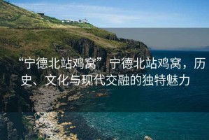 “寧德北站雞窩”寧德北站雞窩，歷史、文化與現(xiàn)代交融的獨(dú)特魅力