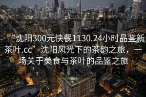 “沈陽300元快餐1130.24小時(shí)品鑒新茶葉.cc”沈陽風(fēng)光下的茶韻之旅，一場關(guān)于美食與茶葉的品鑒之旅