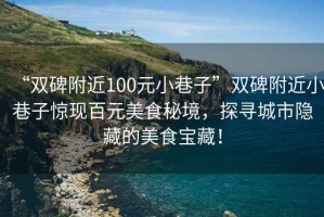 “雙碑附近100元小巷子”雙碑附近小巷子驚現(xiàn)百元美食秘境，探尋城市隱藏的美食寶藏！