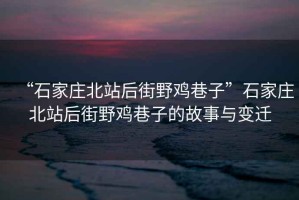 “石家莊北站后街野雞巷子”石家莊北站后街野雞巷子的故事與變遷