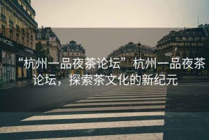 “杭州一品夜茶論壇”杭州一品夜茶論壇，探索茶文化的新紀(jì)元