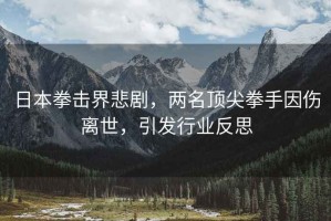 日本拳擊界悲劇，兩名頂尖拳手因傷離世，引發(fā)行業(yè)反思