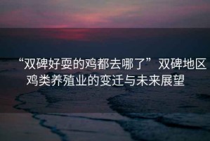 “雙碑好耍的雞都去哪了”雙碑地區(qū)雞類(lèi)養(yǎng)殖業(yè)的變遷與未來(lái)展望