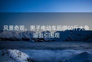 風(fēng)景奇觀，男子電動車后綁60斤大魚遛街引圍觀