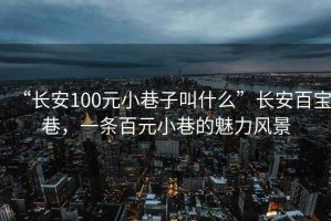 “長安100元小巷子叫什么”長安百寶巷，一條百元小巷的魅力風景