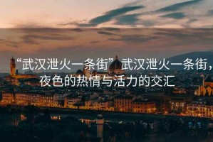 “武漢泄火一條街”武漢泄火一條街，夜色的熱情與活力的交匯