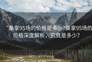 “桑拿95場的價格是多少?桑拿95場的價格深度解析，究竟是多少？
