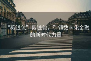 “薇錢包”薇錢包，引領(lǐng)數(shù)字化金融的新時代力量