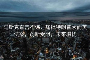 馬斯克直言不諱，痛批特朗普大而美法案，創(chuàng)新受阻，未來堪憂