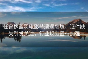 任魯豫藍羽電影節(jié)遭遇尷尬，證件缺失引發(fā)關(guān)注，行業(yè)規(guī)范亟待加強