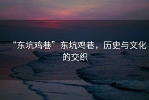 “東坑雞巷”東坑雞巷，歷史與文化的交織
