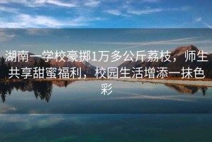 湖南一學(xué)校豪擲1萬多公斤荔枝，師生共享甜蜜福利，校園生活增添一抹色彩
