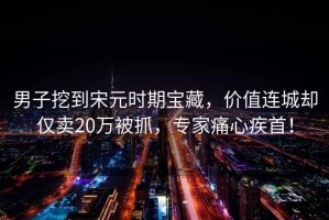 男子挖到宋元時(shí)期寶藏，價(jià)值連城卻僅賣20萬(wàn)被抓，專家痛心疾首！