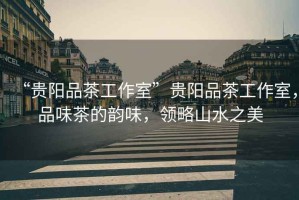 “貴陽品茶工作室”貴陽品茶工作室，品味茶的韻味，領(lǐng)略山水之美