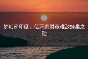 夢幻南印度，億萬家財竟難敵蜂巢之險