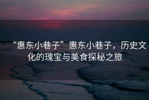 “惠東小巷子”惠東小巷子，歷史文化的瑰寶與美食探秘之旅