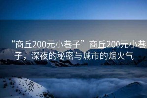 “商丘200元小巷子”商丘200元小巷子，深夜的秘密與城市的煙火氣