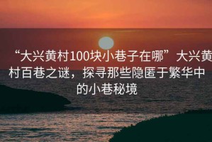 “大興黃村100塊小巷子在哪”大興黃村百巷之謎，探尋那些隱匿于繁華中的小巷秘境