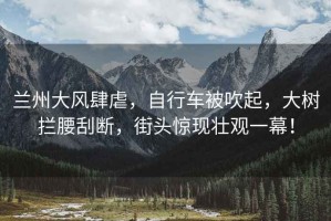 蘭州大風肆虐，自行車被吹起，大樹攔腰刮斷，街頭驚現(xiàn)壯觀一幕！