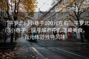 “平羅北門小巷子100元左右”平羅北門小巷子，探尋城市中的隱藏美食，百元體驗獨特風味