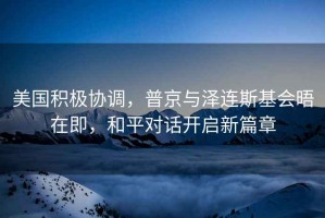 美國積極協(xié)調(diào)，普京與澤連斯基會晤在即，和平對話開啟新篇章