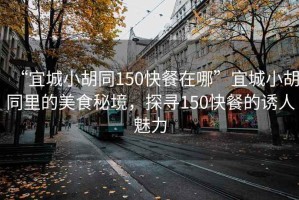 “宜城小胡同150快餐在哪”宜城小胡同里的美食秘境，探尋150快餐的誘人魅力