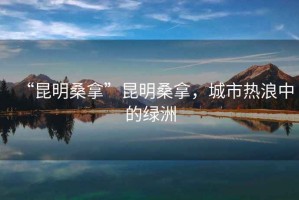 “昆明桑拿”昆明桑拿，城市熱浪中的綠洲