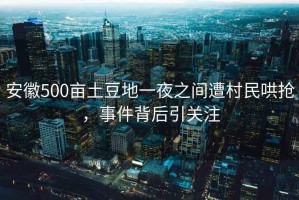 安徽500畝土豆地一夜之間遭村民哄搶，事件背后引關(guān)注