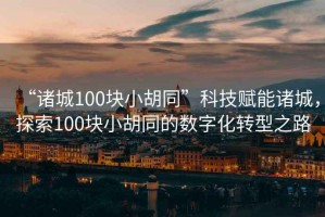 “諸城100塊小胡同”科技賦能諸城，探索100塊小胡同的數(shù)字化轉(zhuǎn)型之路