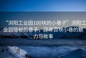 “瀏陽工業(yè)園100塊的小巷子”瀏陽工業(yè)園隱秘的巷子，探尋百塊小巷的魅力與故事