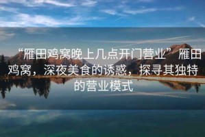 “雁田雞窩晚上幾點開門營業(yè)”雁田雞窩，深夜美食的誘惑，探尋其獨特的營業(yè)模式