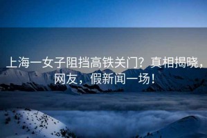上海一女子阻擋高鐵關(guān)門？真相揭曉，網(wǎng)友，假新聞一場！