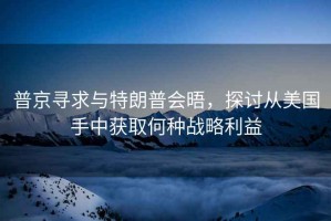 普京尋求與特朗普會晤，探討從美國手中獲取何種戰(zhàn)略利益