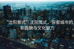 “沈陽(yáng)莞式”沈陽(yáng)莞式，探索城市的新面貌與文化魅力