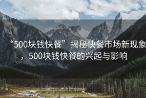“500塊錢快餐”揭秘快餐市場新現(xiàn)象，500塊錢快餐的興起與影響