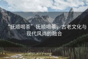 “撫順喝茶”撫順喝茶，古老文化與現(xiàn)代風(fēng)尚的融合