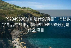 “92949598分別是什么項目”揭秘數字背后的故事，揭秘92949598分別是什么項目