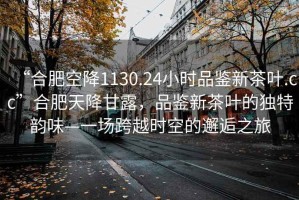 “合肥空降1130.24小時品鑒新茶葉.cc”合肥天降甘露，品鑒新茶葉的獨(dú)特韻味—一場跨越時空的邂逅之旅