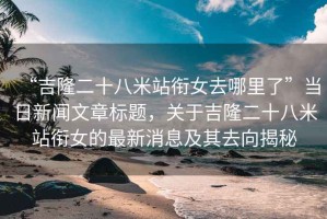 “吉隆二十八米站銜女去哪里了”當日新聞文章標題，關于吉隆二十八米站銜女的最新消息及其去向揭秘