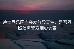 迪士尼樂園內(nèi)突發(fā)群毆事件，是否互毆還需警方細(xì)心調(diào)查