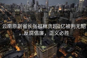 云南原副省長張祖林貪超1億被判無期，反腐倡廉，正義必勝