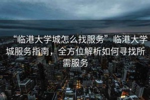 “臨港大學(xué)城怎么找服務(wù)”臨港大學(xué)城服務(wù)指南，全方位解析如何尋找所需服務(wù)
